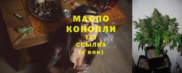дмт Протвино