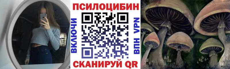 Галлюциногенные грибы MAGIC MUSHROOMS  Купить  Бугульма 